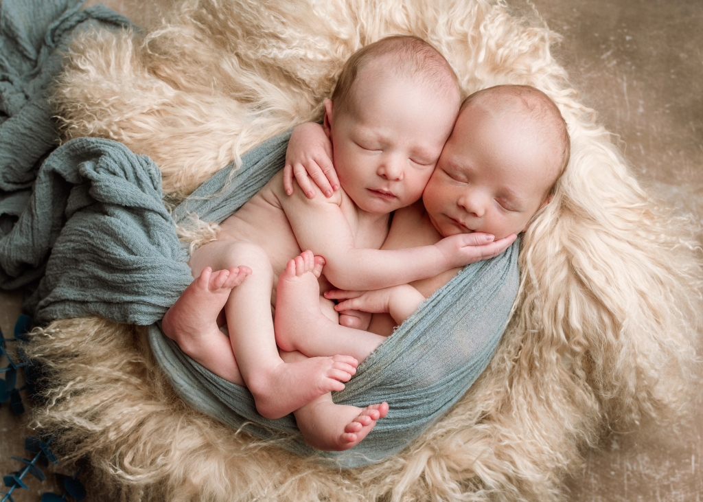 SaraB Photography Newborn Twins
